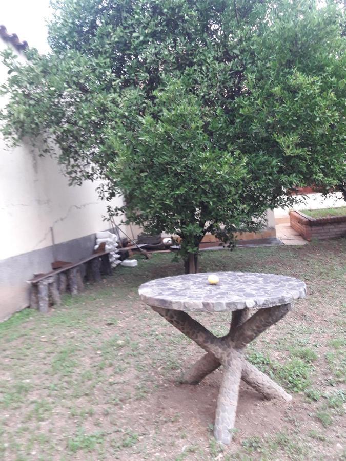 La Casa De Gaby Daire Salta Dış mekan fotoğraf